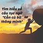 Học Bù Tiếng Anh Là Gì