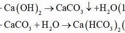 Sục Co2 Vào Nước Vôi Trong Dư