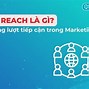 T2 Group Ceo Là Công Ty Gì